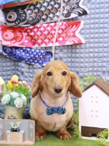 20230510レオンくん